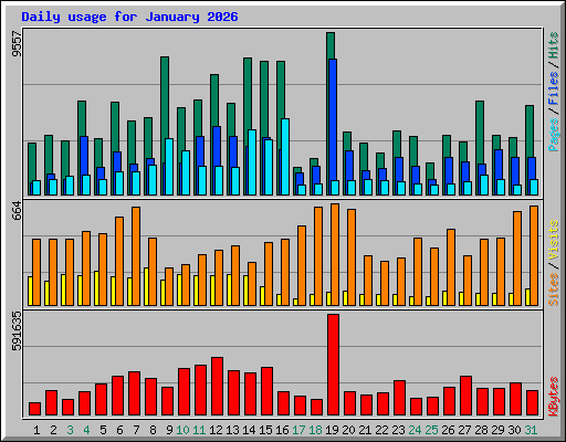 Daily usage for January 2026