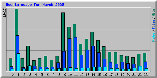 Hourly usage for March 2025