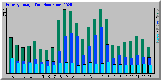Hourly usage for November 2025