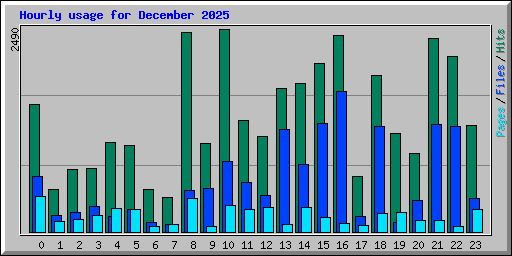 Hourly usage for December 2025