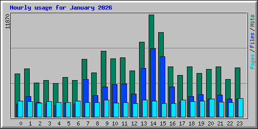 Hourly usage for January 2026